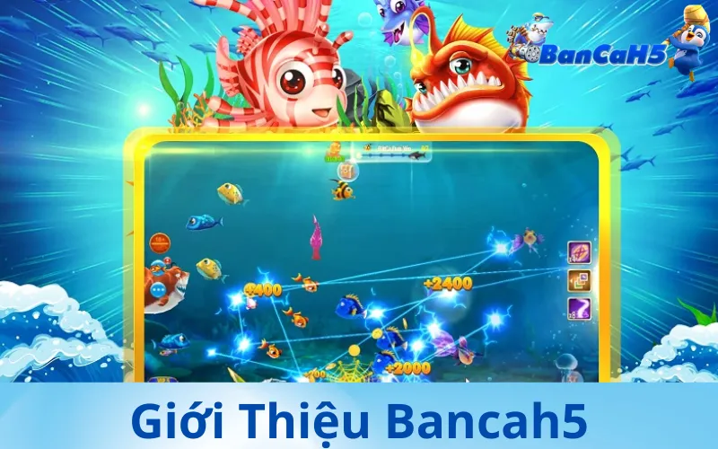 Giới thiệu Bancah5  Tính Năng Nổi Bật