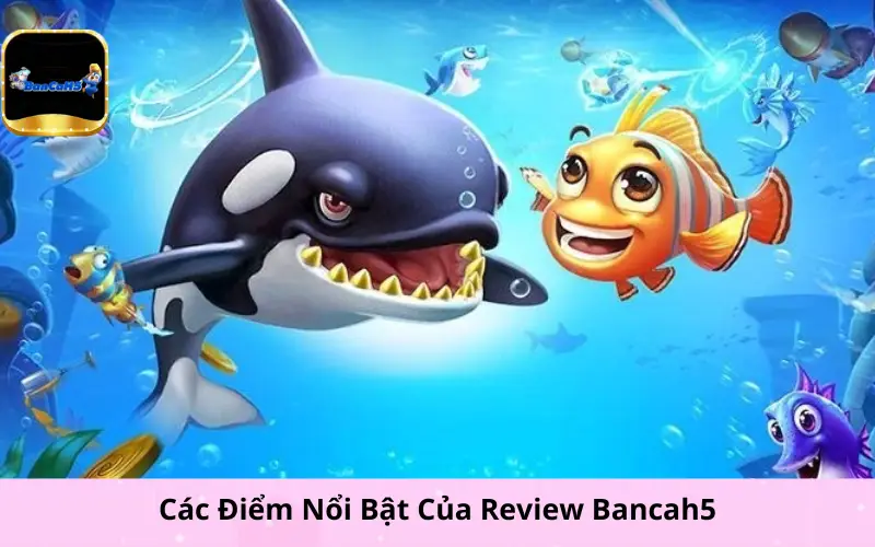 Các Điểm Nổi Bật Của Review Bancah5