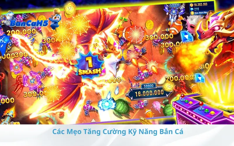 Các Mẹo Tăng Cường Kỹ Năng Bắn Cá