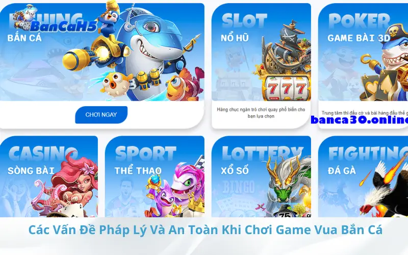 Các Vấn Đề Pháp Lý Và An Toàn Khi Chơi Game Vua Bắn Cá