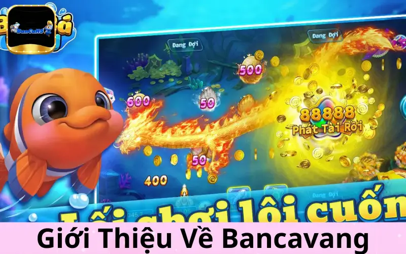 Giới Thiệu Về Bancavang