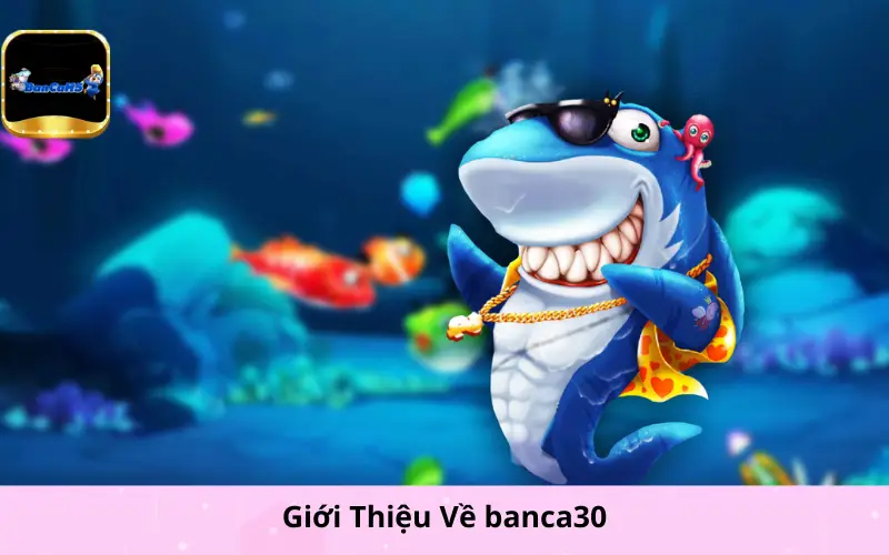 Giới Thiệu Về banca30