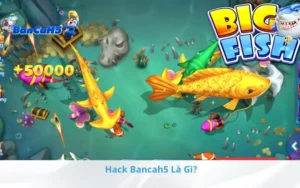 Hack Bancah5 Là Gì?