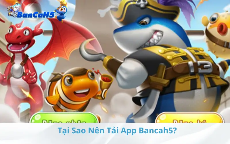 Tại Sao Nên Tải App Bancah5?